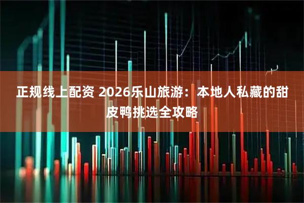 正规线上配资 2026乐山旅游:本地人私藏的甜皮鸭挑选全攻略