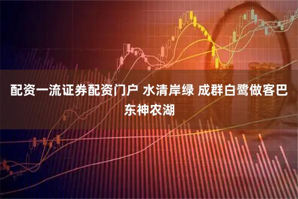 配资一流证券配资门户 水清岸绿 成群白鹭做客巴东神农湖